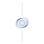 logo Asia Invest(42)