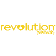 logo Revolution(228)