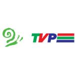 logo TVP Katowice