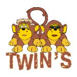 logo Twins