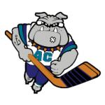logo Atlantic City Boardwalk Bullies(181)