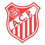 logo Atletico Clube Paranavai de Paranavai-PR