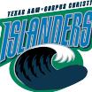 logo Texas A&M-Corpus Christi Islanders(199)