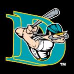 logo Auburn Doubledays(244)