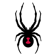 logo Spyder(128)