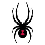 logo Spyder(128)
