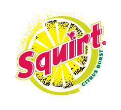 logo Squirt