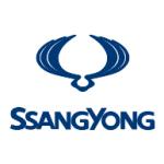 logo SSangYong(152)