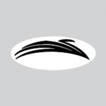 logo Swan