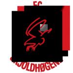 logo Skjoldhogene