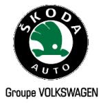 logo Skoda Auto(25)