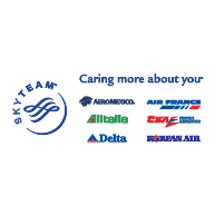 logo SkyTeam(60)