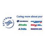 logo SkyTeam(60)