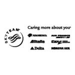 logo SkyTeam(61)