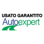 logo AutoExpert(331)