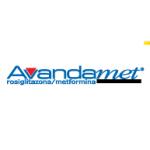 logo Avandamet