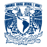 logo UNAM