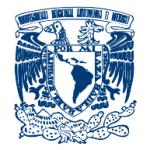 logo UNAM