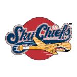 logo Syracuse SkyChiefs(227)