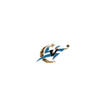 logo WASHINGTON WIZARDS 2