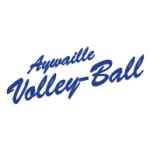 logo Aywaille Volley-Ball