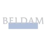 logo Beldam
