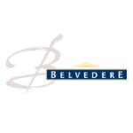 logo Belvedere Group