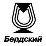 logo Berdskiy