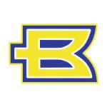 logo Birmingham Bolts