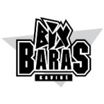 logo Bix Baras