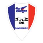 logo Blue Wings