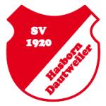 SV Rot Weiss Hasborn-Dautweiler