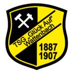 TSG Wattenbach