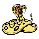 logo Cobra(14)