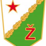 Zalgiris Vilnus old logo 