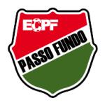 Esporte Clube Passo Fundo de Passo Fundo-RS