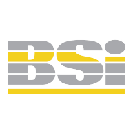 logo BSi(295)