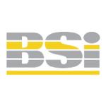 logo BSi(295)