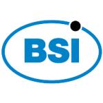 logo BSI(296)