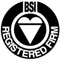 logo BSI(297)