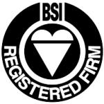 logo BSI(297)