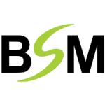 logo BSM(300)
