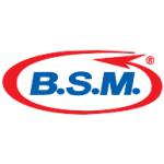 logo BSM