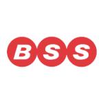 logo BSS(301)