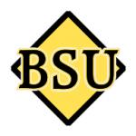 logo BSU(302)