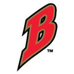 logo Buffalo Bisons(359)