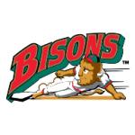 logo Buffalo Bisons(360)
