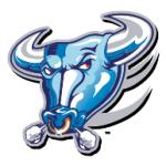 logo Buffalo Bulls(362)
