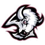 logo Buffalo Sabres