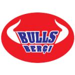 logo Bulls Bergi(389)